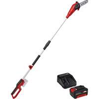Cordless Pole Chain Saw with 4Ah Battery & Charger Starter Kit Toolneeds Inc.
