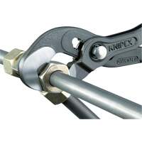Pince Raptor, 10" Toolneeds Inc.
