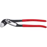 Pince multiprise auto-bloquante Alligator&reg;, 12" Toolneeds Inc.