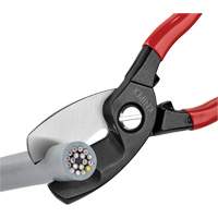 Coupe-c&acirc;bles avec double tranchant, 8" Toolneeds Inc.