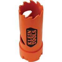 Scie-cloche, 7/8", Profondeur de la coupe 2", Bim&eacute;tal Toolneeds Inc.