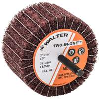 Meule &agrave; lamelles abrasives Two-In-One Toolneeds Inc.