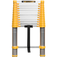 &eacute;chelle t&eacute;lescopique, 3' - 12', Aluminium, Capacit&eacute; de 250 lb, Type 1 Toolneeds Inc.