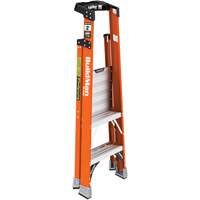 Safespace Platform Step Ladder, 2', 300 lbs. Cap. Toolneeds Inc.