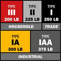 Step Ladder with Paint Tray, 10', Aluminum, 225 lbs. Capacity, Type 2 Toolneeds Inc.