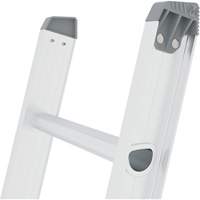 &eacute;chelle coulissante Jobsite Series, Cap 225 lb, 32' h, Calibre 2 Toolneeds Inc.