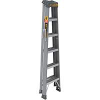 Step Ladder, 6', Fibreglass, 225 lbs. Capacity, Type 2 Toolneeds Inc.