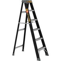 Step Ladder, 6', Fibreglass, 250 lbs. Capacity, Type 1 Toolneeds Inc.