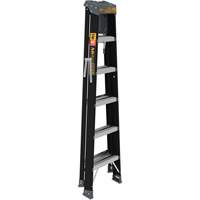 Step Ladder with Paint Tray, 6', Fibreglass, 250 lbs. Capacity, Type 1 Toolneeds Inc.