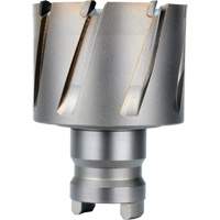 Fraise avec tenon &agrave; changement rapide Drive Hawg, Diam&egrave;tre de 2", Acier, Profondeur de la coupe de 1" Toolneeds Inc.