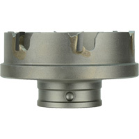 Cisaille pour la t&ocirc;le &agrave; changement rapide, Diam&egrave;tre de 3/4", Carbure, Profondeur de la coupe de 3/16" Toolneeds Inc.