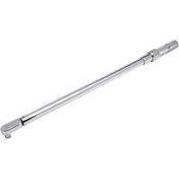 Fixed Head Micrometer Torque Wrench, Click, 1/2" Square Drive, 50-250 ft-lbs. Toolneeds Inc.