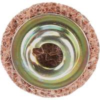 Standard Abrasives Quick-Change Surface Conditioning Disc, 3/4" Dia., Coarse Grit, Aluminum Oxide Toolneeds Inc.