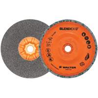 Blendex U Finishing Cup Disc, 5" Dia., Fine Grit, Silicon Carbide Toolneeds Inc.