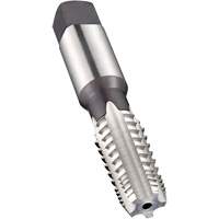 Interrupted Thread Machine Pipe Tap, 1"-11.5, 5 Flutes, 115 mm L, Taper, High Speed Steel Toolneeds Inc.