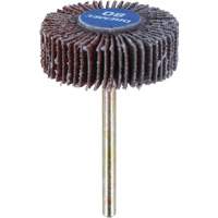 3/8" Flapwheel Sanding Bit - 80 Grit Toolneeds Inc.