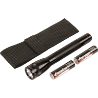 Lampes de poche Mini, Incandescente, 14 lumens, Piles AA Toolneeds Inc.