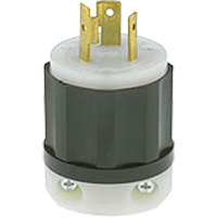 Prise mise &agrave; la terre verrouillable &agrave; deux bornes et trois fils, Nylon, 20 A, 250 V, L6-20P Toolneeds Inc.
