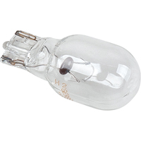 Ampoule de rechange - 9 W au tungst&egrave;ne Toolneeds Inc.