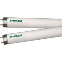 Lampes fluorescentes, 32 W, T8, 4100 K, Longueur de 48" Toolneeds Inc.