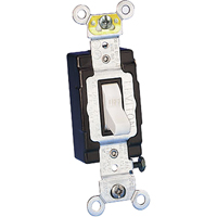 Wall Switch Toolneeds Inc.