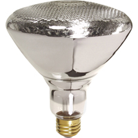 Economy Line Incandescent Lamps Toolneeds Inc.