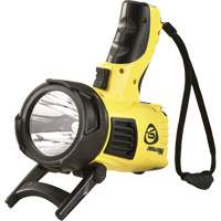 Projecteurs style pistolet Waypoint, DEL, 550 Lumens, Piles C Toolneeds Inc.