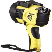 Projecteurs style pistolet Waypoint, DEL, 550 Lumens, Piles C Toolneeds Inc.