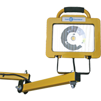 Heavy-Duty Dock Light, 40" Arm, 38 W, LED Lamp, Metal Toolneeds Inc.