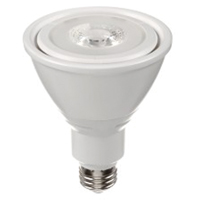 Ampoule DEL, PAR30, 10 W, 800 lumens, base Moyen Toolneeds Inc.