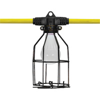 Flood Light, LED, 20 W, 1440 Lumens, Aluminum Housing Toolneeds Inc.