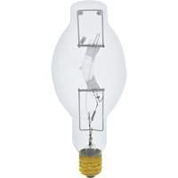 High Intensity Discharge Lamps (HID) - Metal Halide Toolneeds Inc.