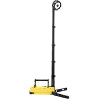 Portable Rechargeable Scene Lights, LED, 36 W, 5300 Lumens, Plastic Housing Toolneeds Inc.