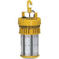 ProLight 360° Industrial Light Kit, LED, 120 W, 15000 Lumens, Plastic Housing Toolneeds Inc.