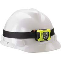 Lampe de poche multifonction Enduro, DEL, 200 lumens, 6 hres de fonctionnement, piles AAA Toolneeds Inc.