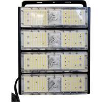 Light Head, LED, 200 W, 30000 Lumens, Aluminum Housing Toolneeds Inc.