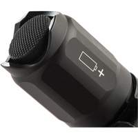 7000 Series Tactical Flashlight, LED, 774 Lumens, CR123 Batteries Toolneeds Inc.