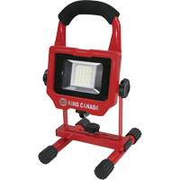 Work Light, LED, 15 W, 1500 Lumens, Aluminum Housing Toolneeds Inc.