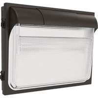 TWX3 Wall Luminaire, LED, 347 V, 14" H x 18" W x 5" D Toolneeds Inc.