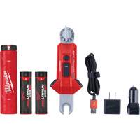 Lampe USB polyvalente REDLITHIUM pour perche isolante, DEL, Piles Rechargeable, Aluminium Toolneeds Inc.