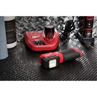 M12 Paint and Detailing Color Match Light, LED, 1000 Lumens Toolneeds Inc.