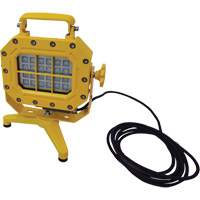 Explosion Proof Floodlight with Stand, LED, 40 W, 5600 Lumens, Aluminum Housing Toolneeds Inc.