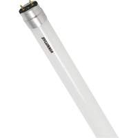 SubstiTUBE&reg; Frosted Glass LED Bulb, 12 W, T8, 5000 K, 48" L Toolneeds Inc.