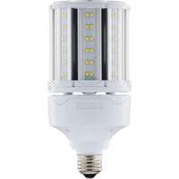 Ampoule HID de remplacement s&eacute;lectionnable ULTRA LED, E26, 18 W, 2700 lumens Toolneeds Inc.