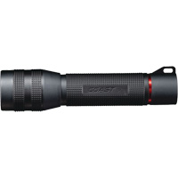 GX30 Waterproof Flashlight, AA Batteries Toolneeds Inc.