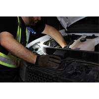 Work Light, Neck Light, Rechargeable, 300 Lumens Toolneeds Inc.