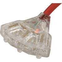 Generator Extension Cord with Tritap, STW, 10 AWG, 3 Outlet(s), 25' Toolneeds Inc.