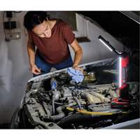 18V Cordless LED Work Light (Tool Only), LED, 1000 Lumens Toolneeds Inc.