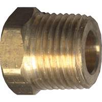 Hex Head Cored Plug, Pipe, 1/8" Dia., Brass Toolneeds Inc.