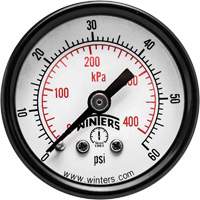 Economy Pressure Gauge, 1-1/2" , 0 - 60 psi, Back Mount, Analogue Toolneeds Inc.